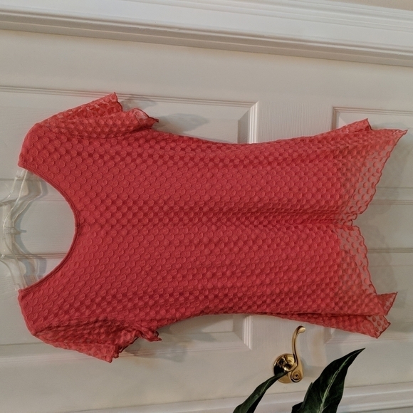 Shannon Ford New York Women's Short Sleeve Lace Top Size Large - Picture 4 of 6